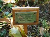 image of grave number 800110